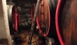Versino cellar 1